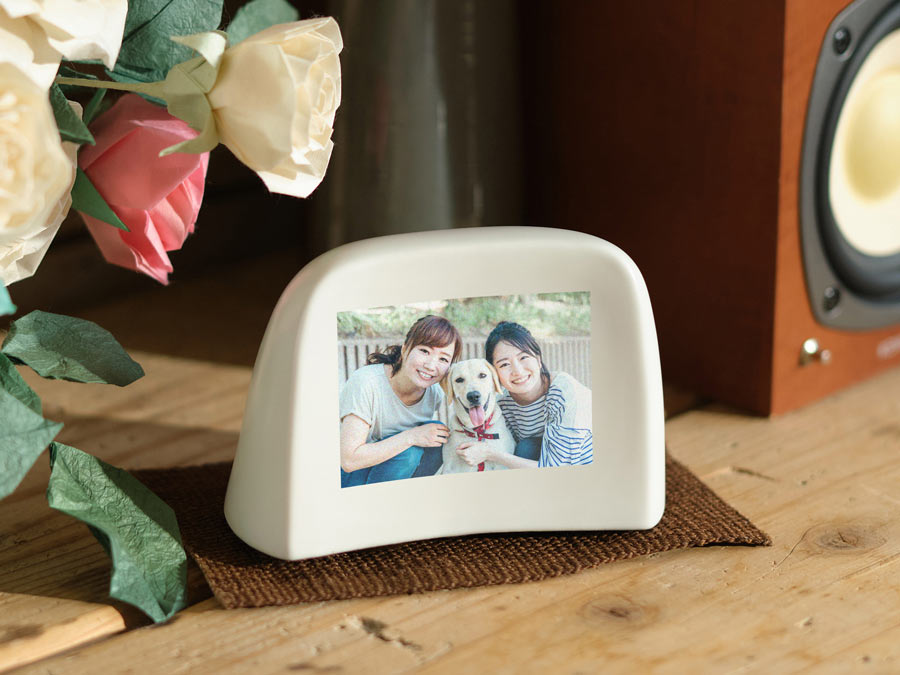 追憶（ペット写真）