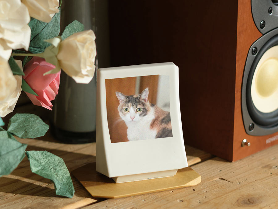 礎（ペット写真）