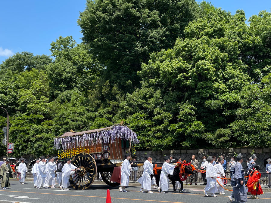 葵祭2026牛車