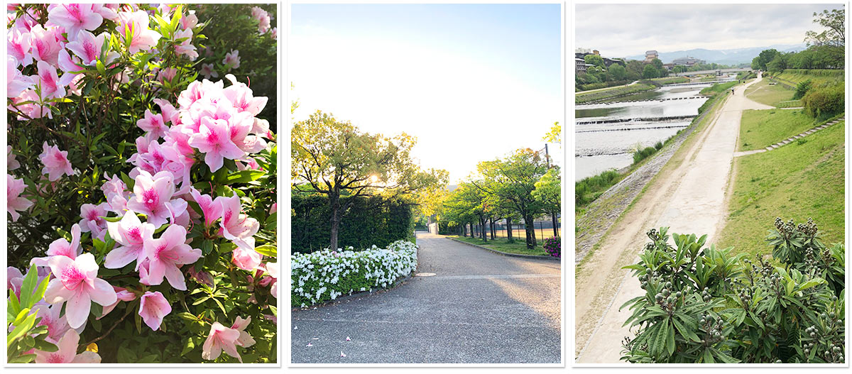 岡崎公園の風景